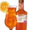 De Kuyper Sex on the Beach Cocktail