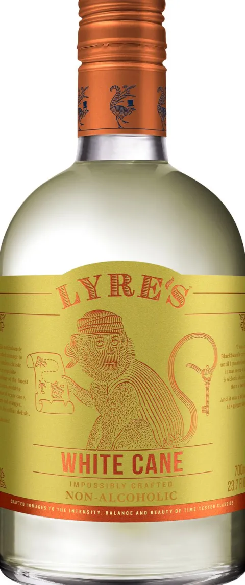 Lyre's White Cane