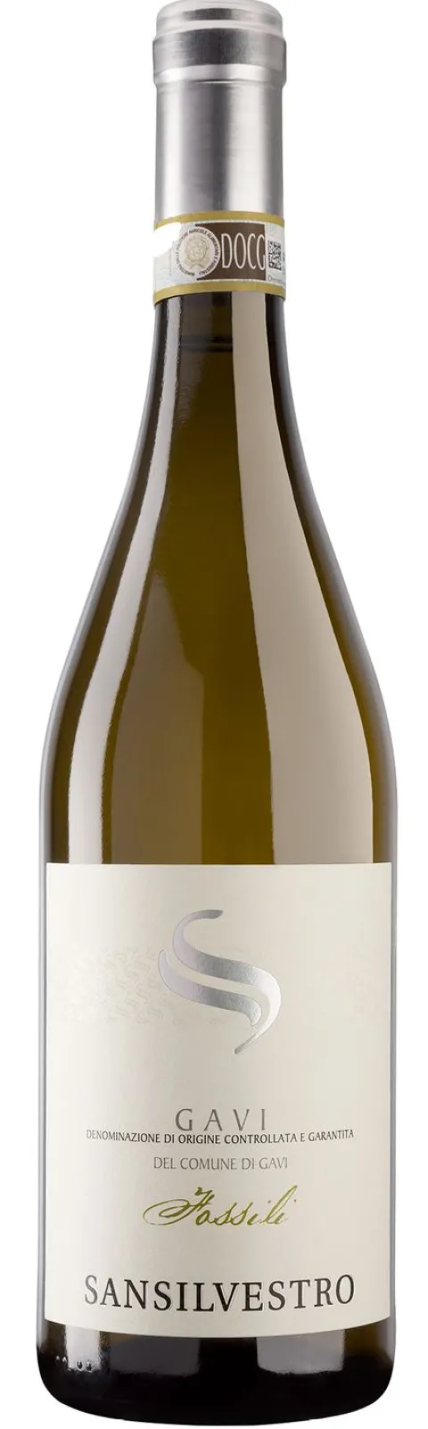 San Silvestro Gavi Fossili